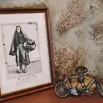 Casa Boletus *