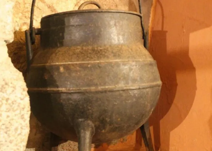 Hébergement de vacances Casa Boletus