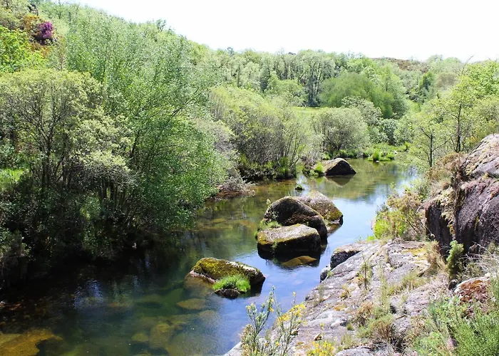 Hébergement de vacances Casa Boletus *